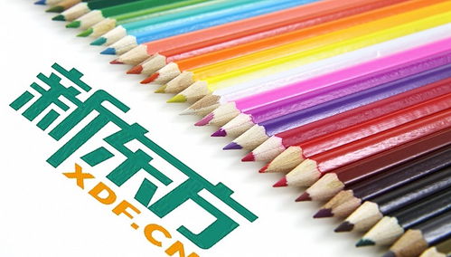 新東方跨界布局 成立新公司，進(jìn)軍教具、工藝美術(shù)品及禮儀用品銷售領(lǐng)域